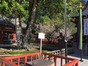 poporond}_Ћ̑t̓eʐ^2