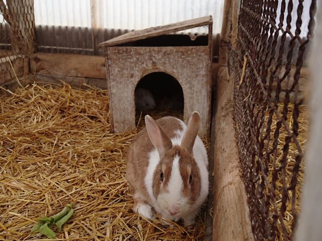 ������_�n�C�W�q��