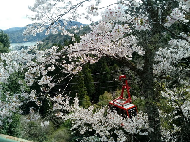 J̍ƁA艷򃍁[vEFC_艷򃍁[vEFC