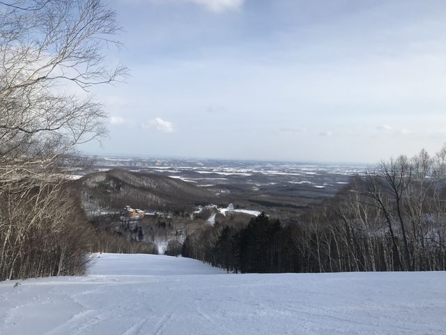 �X�L�[��_�T�z�����]�[�g�X�L�[��