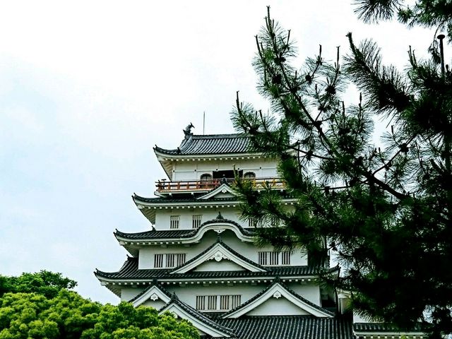 福山城見事です。_福山城