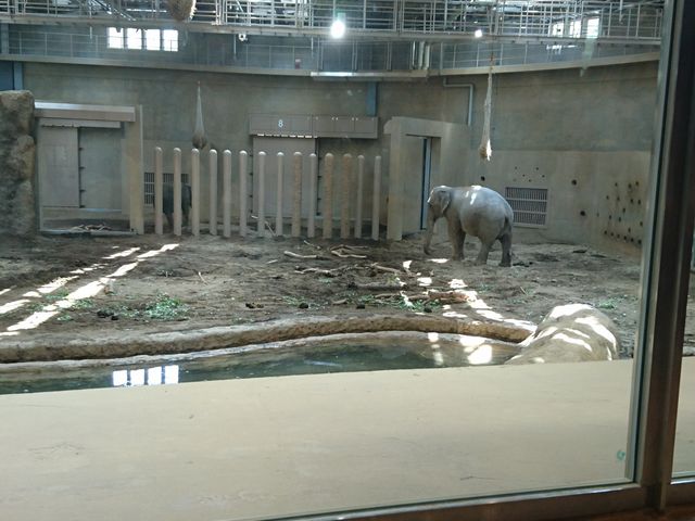 �]�E��_�~�R������