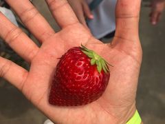 Ciel farm(VGt@[j̎ʐ^1