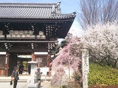 大社 梅宮