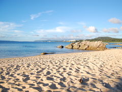 Lic����̌�َq��a�@���[�X�ւ̓��e�ʐ^1