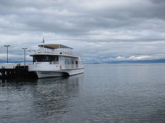 WWC̒|N[Y(Í`/i΋DD)ւ̓eʐ^1