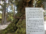 ���܂�����̉��ΐ_�Ђ̓��e�ʐ^1