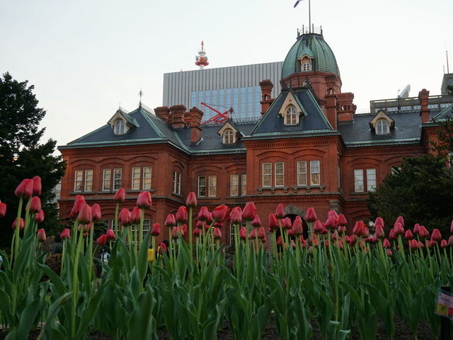 �`���[���b�v_�k�C�������{����(�Ԃ�񂪒���)