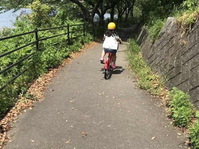 �⓹����_�k��B�s�T�C�N�����O�^�[�~�i��