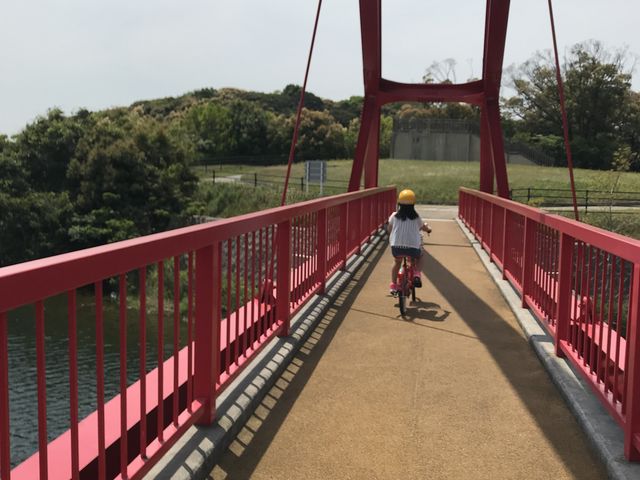 �����^�T�C�N��_�k��B�s�T�C�N�����O�^�[�~�i��