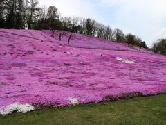 太陽の丘えんがる公園の口コミ一覧 じゃらんnet