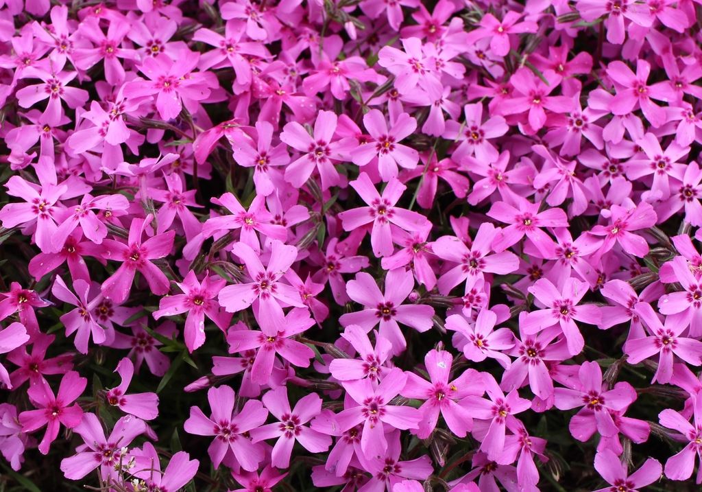 太陽の丘えんがる公園 アクセス 営業時間 料金情報 じゃらんnet