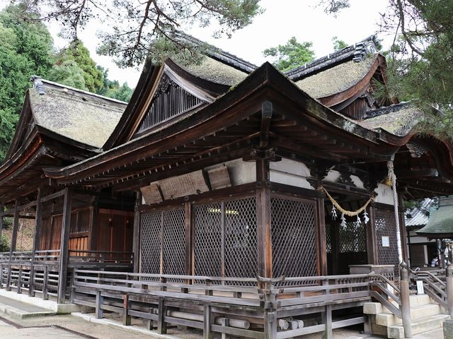 �q�a�Ɩ{�a�B_��颐_��