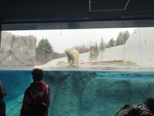 ���F���߂�_�~�R������