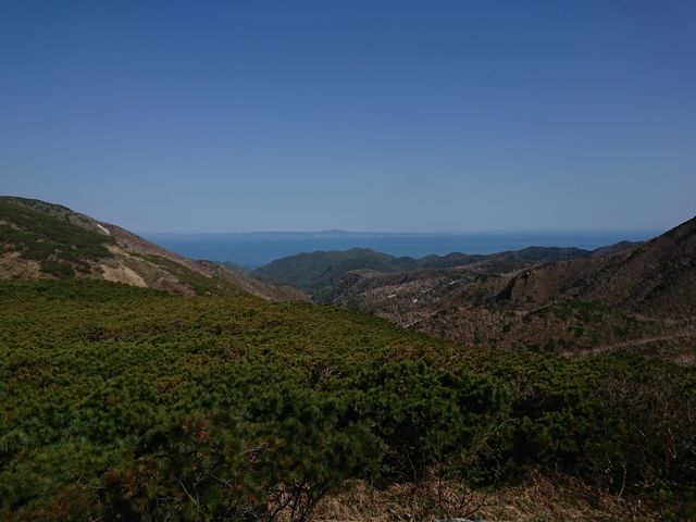 ���㓇_�m����