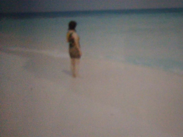 �������l_�n�e�̕l