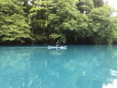 [̃[^XAEghA[Yւ̓eʐ^1