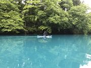 [̃[^XAEghA[Y̓eʐ^1