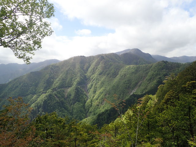 �O��R�i��ʌ������s�j