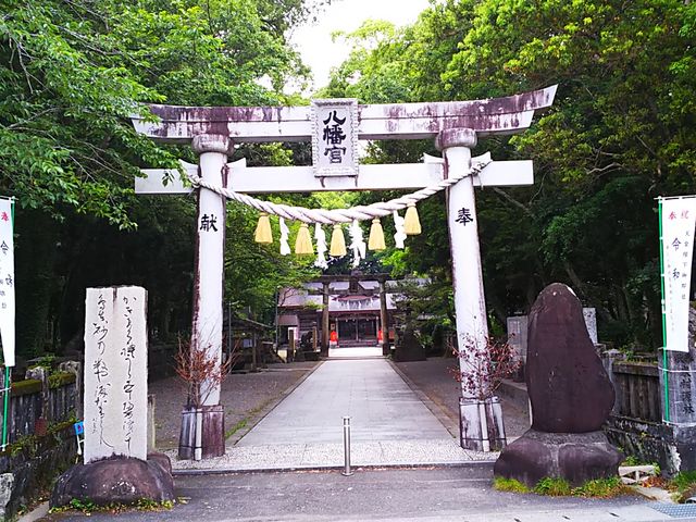 ˂񂳂̋v甪{̓eʐ^1