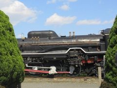 ���Ⴝ�낤����̐�g�����ւ̓��e�ʐ^1