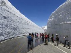 J̗RAy[gyxRzւ̓eʐ^1