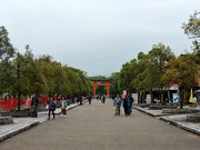 �����̂�������̉F���_�{�����T�N���E�C�`�C�J�V�̓��e�ʐ^1