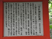 �����̂�������̉F���_�{�����T�N���E�C�`�C�J�V�̓��e�ʐ^3