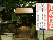 ˂񂳂̋v甪{̓eʐ^3