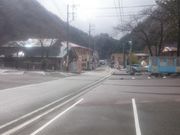 ꂨ񂳂̏勬{̓eʐ^2