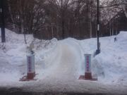 ꂨ񂳂̉򗷊ًgē̓eʐ^2