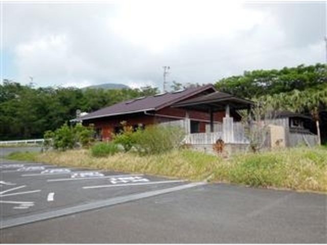 ÐhF̊~uӂꂠ̓v̓eʐ^3