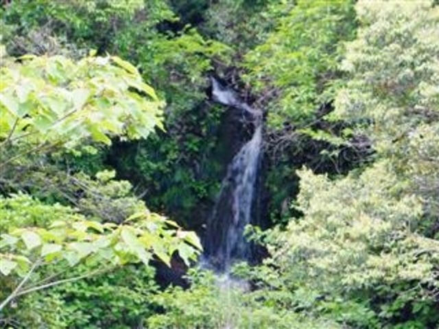 �������́u������_�O���R