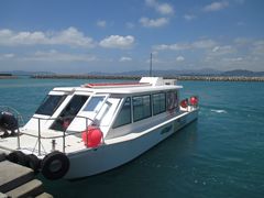 썑l̐Ί_h[όւ̓eʐ^1