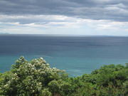 hbp[̗RǐΓW]̓eʐ^2