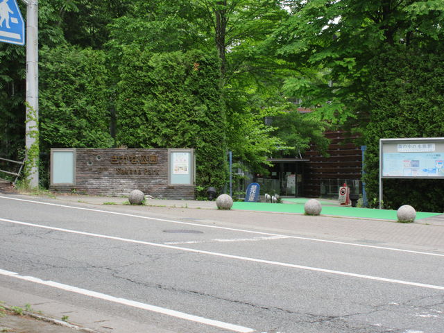 �����Ȍ���