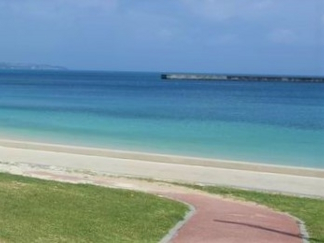 �p�C�i�K�}�r�[�`_�p�C�i�K�}�r�[�`