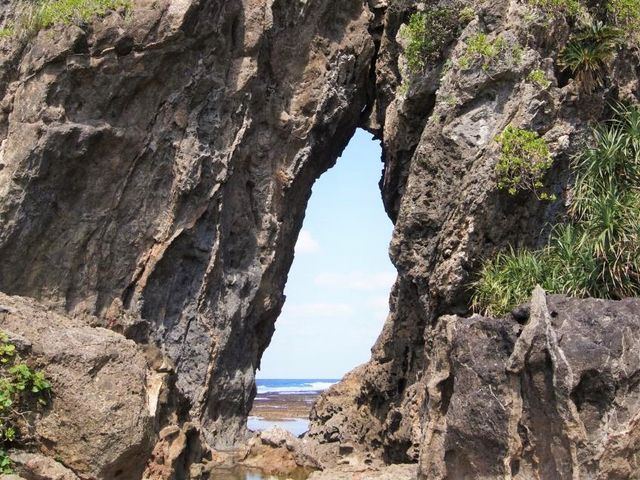 ��Ɗ�Ƃ��d�Ȃ荇���āA�󓴂��ł��Ă���_�~�[�t�K�[