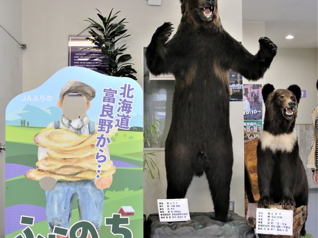 �傫���q�O�}�v�w�H_���̉w ��ӂ��