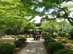 菊ちゃんさんの豪徳寺の投稿写真3