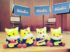 �܂񂶂イ����̃T���g���[�z�[���ւ̓��e�ʐ^1