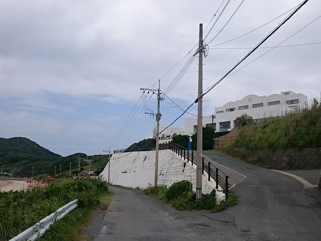 �C������̓���_�I�e���O���[�W��