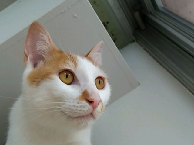 �O���C�ɂȂ�!_�ی�L�J�t�F285