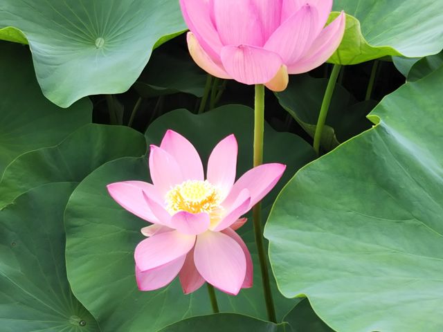 ��t�������n�X_��t����