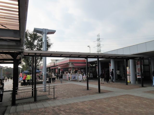 2018N11BejuRp[LOGAv_Rp[LOGA 