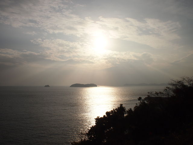 �i�F_�O�J����