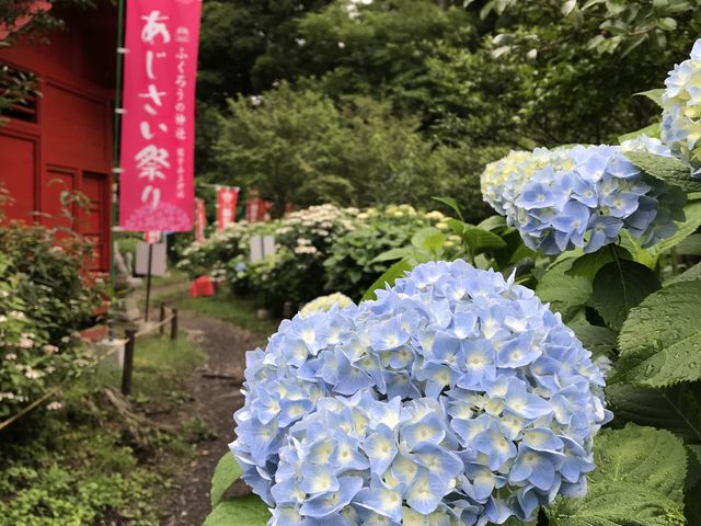 ���z�ԃ��[�h_�h�q�R