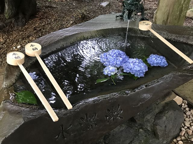 �����_�h�q�R