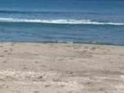 ANZ[JC̋ÊC݂̓eʐ^1