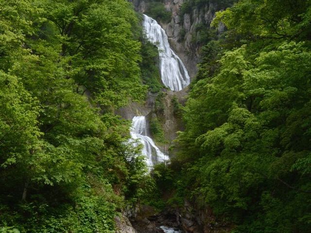 �H�߂̑�_�H�߂̑�